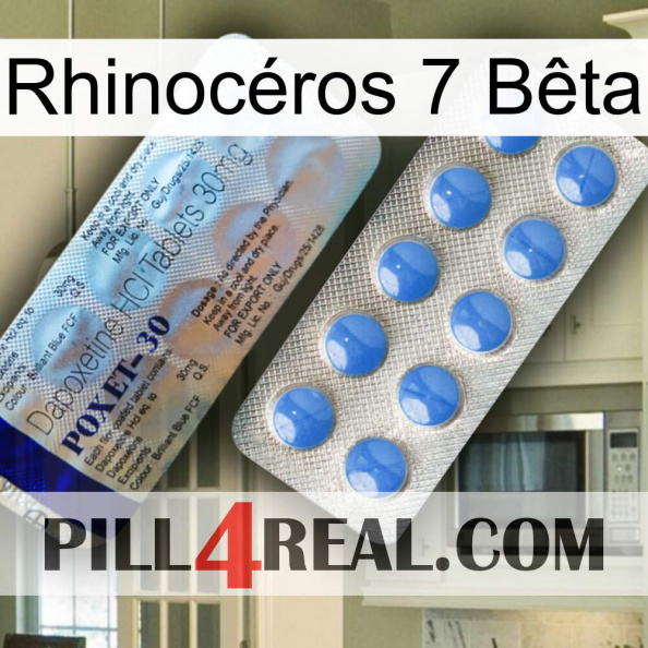 Rhinocéros 7 Bêta 39.jpg